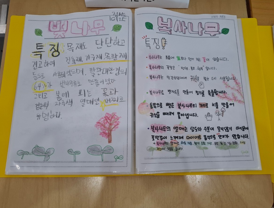 부천동여중. 세계 생물다양성 보존의 날 (5월22일) 행사_005 사진